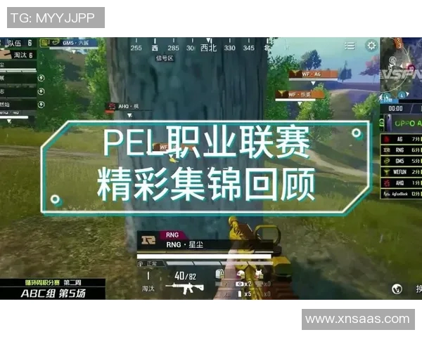 和平精英赛事中RNG速度引发热议玩家对战术选择产生分歧
